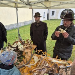 Svatohubertská mše 2025 18