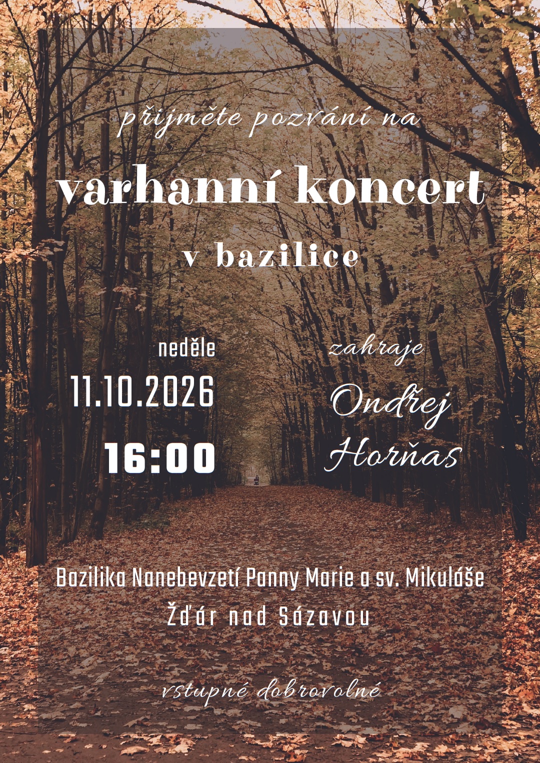 Varhanni koncert Ondrej Hornas